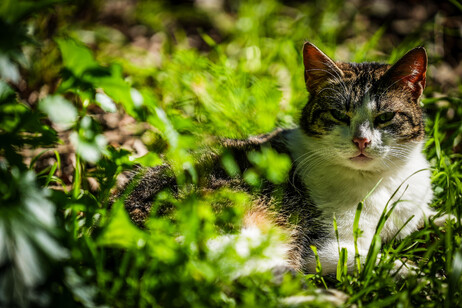 04840ae775c5f08e72b0bab326393e8d