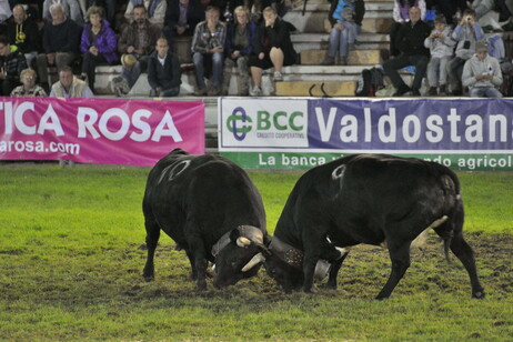 Bonin riconfermato presidente: salvaguardare le Battaglie di Reines