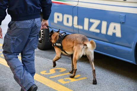 185ff68ec1c0438747f91a922603f662