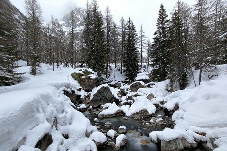 1b6505ef5bbb212f10111b1e36c86b72