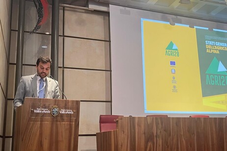 PAC 2028-34: l’agricoltura alpina chiede voce all’Europa.