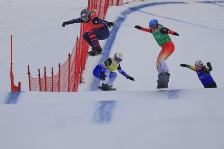 20d40e8d1c734dbc46a7b3d50b3c092d