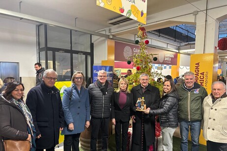 25d0f2b80f13eb1109bd19eefd42659b