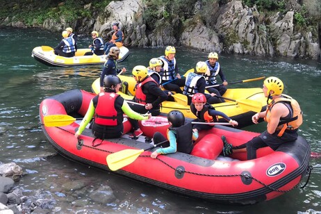 28def523798de63606408503c1768441