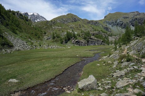 4988dd0a87e7fa68ab565474c4051449