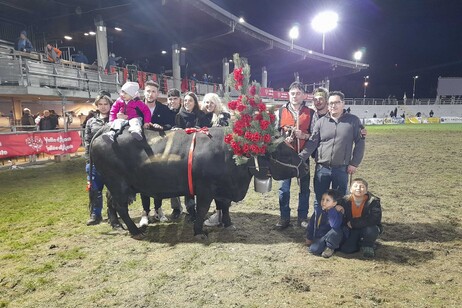 4aaaeb30f32f5d6065b999a4f532ec93