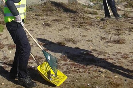 5bc26ca974a48cc5115d792d147ab393