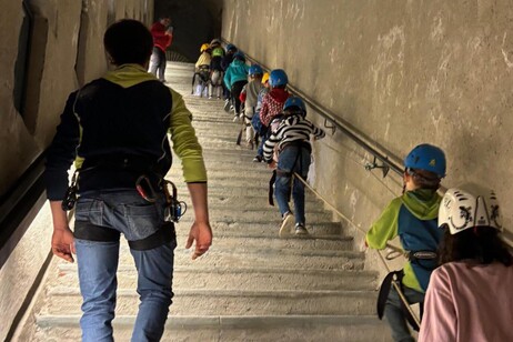 5ea64cf1f838520d1c27706feadf8501