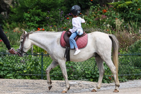 6d8464adf3165d911d2d0469b988eab2