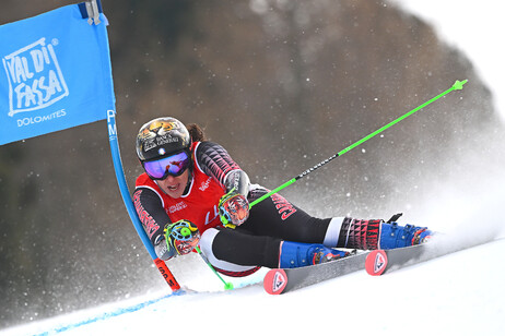 73a7e9462d43bacebc939072dad74488