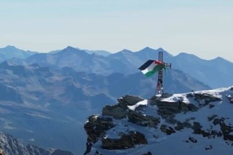 742fa54d2caab569a5ef1275252a552c