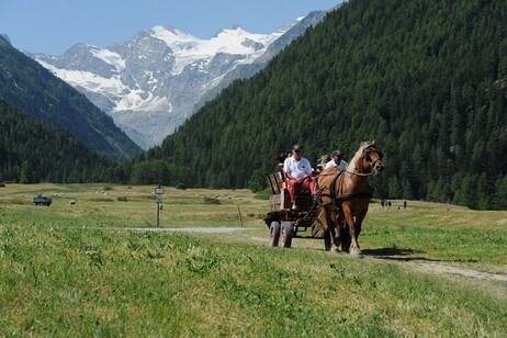 7976fbae2ed822bca9db376c8ed8573f