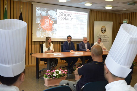 87567b6063ce45194f4813f458802703