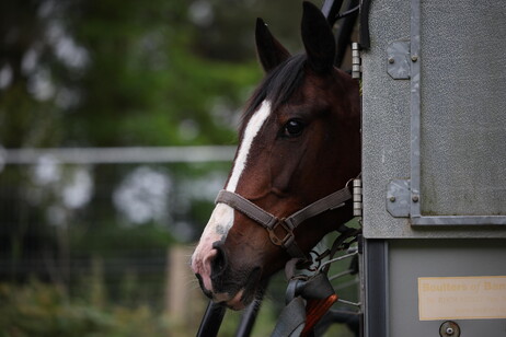 903d9c427bf4f9abd37cd3a0c0013105