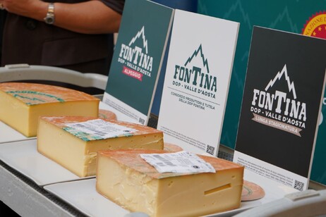 FontinaMi: Milano e Alpi, un Viaggio nel Gusto DOP