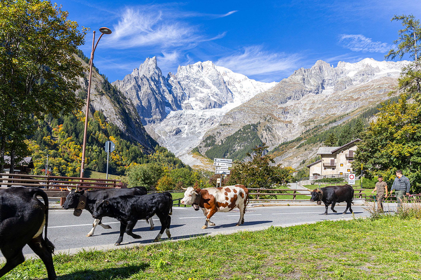 Desarpa-Courmayeur-2025_Ph.M.Vignolini-20252025_Ph.M.Vignolini-0515