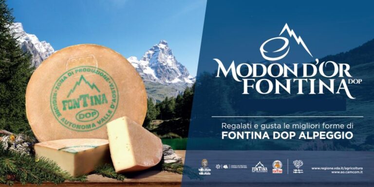 Comunicati i 10 finalisti del Concorso Modon d’Or 2025