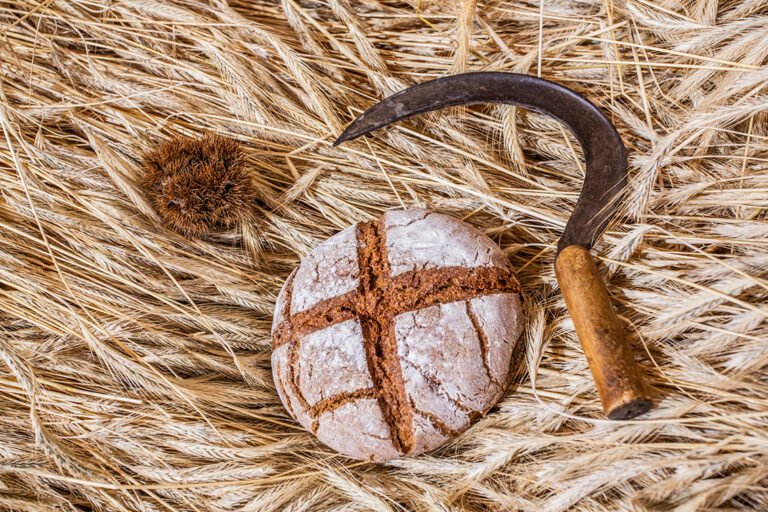 I risultati del concorso Lo Pan Ner – I pani delle Alpi