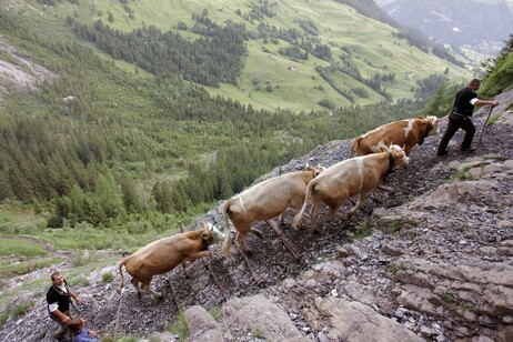Orsières Condannato: Truffa ai Fondi Agricoli, Monito per i Pubblici Uffici