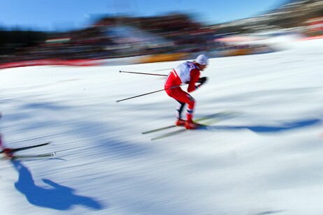 ae72e8b9b663a223732343cc715eab74