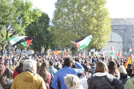 b722b00cdc62ea18b83783df6dacde08