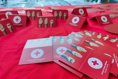 bfd2616a778d5d4b0283f14df70c6339