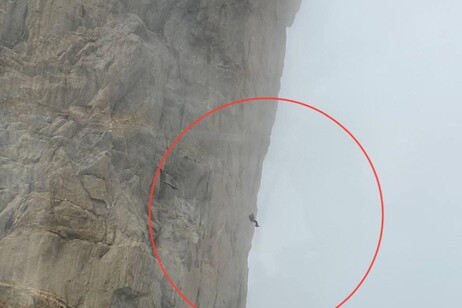 Soccorso Alpino al Dente del Gigante: alpinista aggrappato alla roccia