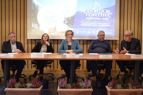 Fontina Dop d’Alpeggio: Modon d’Or, un trionfo di tradizione valdostana.