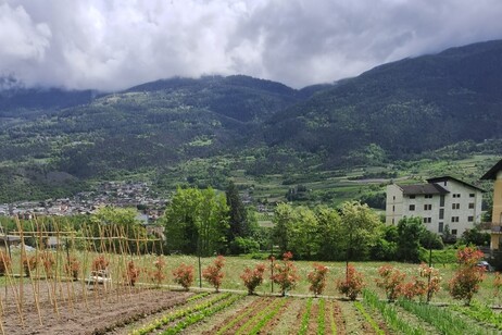 df1c5f3a06a65662525b0d55c931e3b9