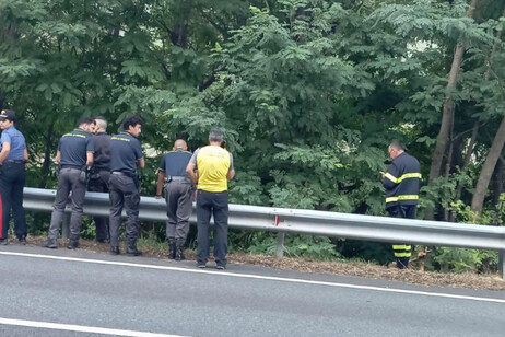 f71f25d12fcd9c7428e46c451c07cf34