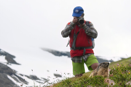 f8c4b96a08e1a0f56436865471289405