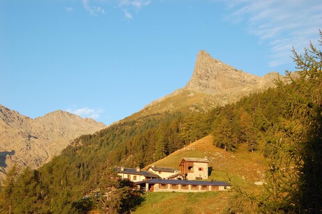 fb004a14d6f98a9742688ec1d550b3ef