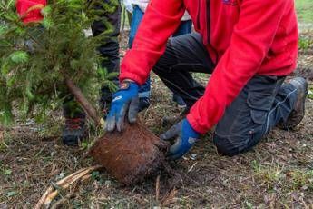 Atlante delle Foreste