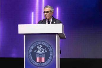 Italia-Usa: Crolla (AmCham Italy): “no effetti dazi nel 2025, per Roma ruolo chiave su Groenlandia’