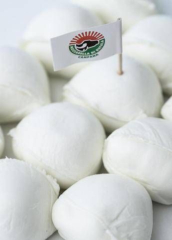 Mozzarella di bufala e jabugo dop, a Barcellona il gemellaggio europeo del gusto