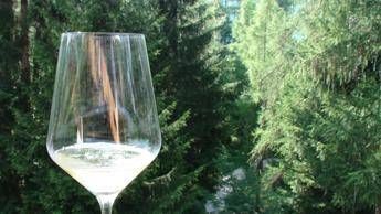 Nel turismo enogastronomico sempre più richiesto il product manager