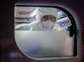 Virus Nipah in Europa e rischi contagio