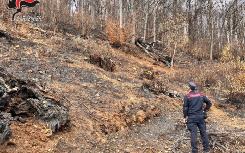 WhatsApp-Image-2025-12-20-at-06.44.13-480x300