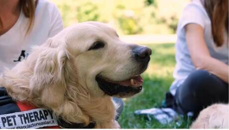 Dieci anni di Aslan: Convegno sul potere terapeutico degli animali.