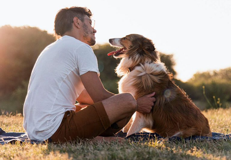 A Rivoli nasce la Consulta per i Diritti e il Benessere degli Animali