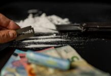 Cocaina dal Brasile al Canavese: otto condanne nel processo sul traffico internazionale